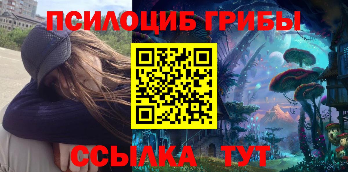 Галлюциногенные грибы мицелий  Вход с VPN  Куйбышев 